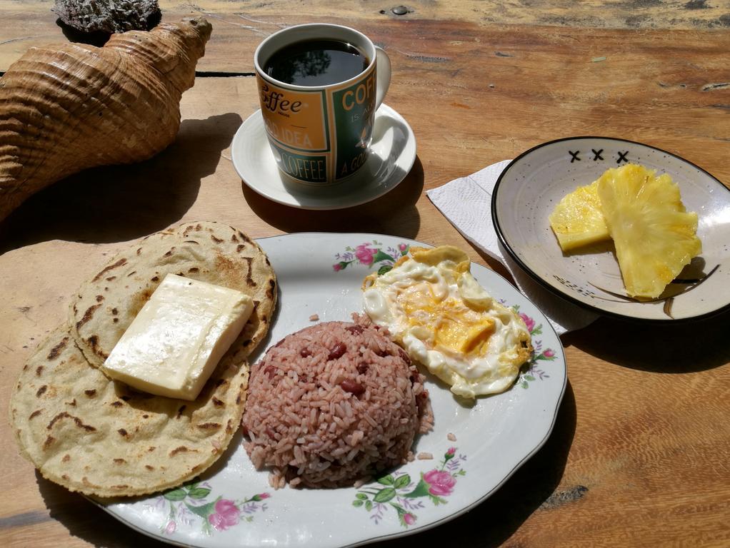 Congos Y Guest house Playa Hermosa (Guanacaste)
